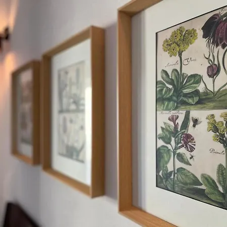 Weinrose - Natura Monti Casa vacanze Montemezzo