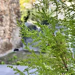 Tatil Evi Weinrose - Natura Monti Montemezzo